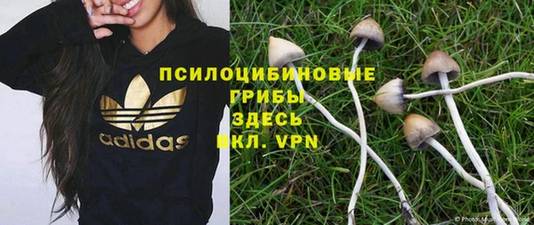 гашик Володарск