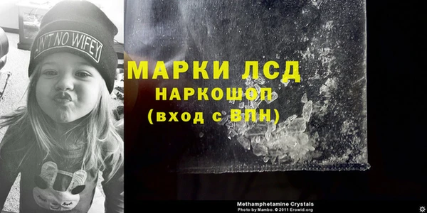 гашик Володарск