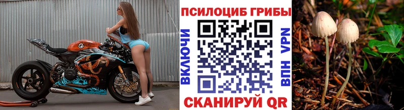 Псилоцибиновые грибы прущие грибы  Купить где  Махачкала 